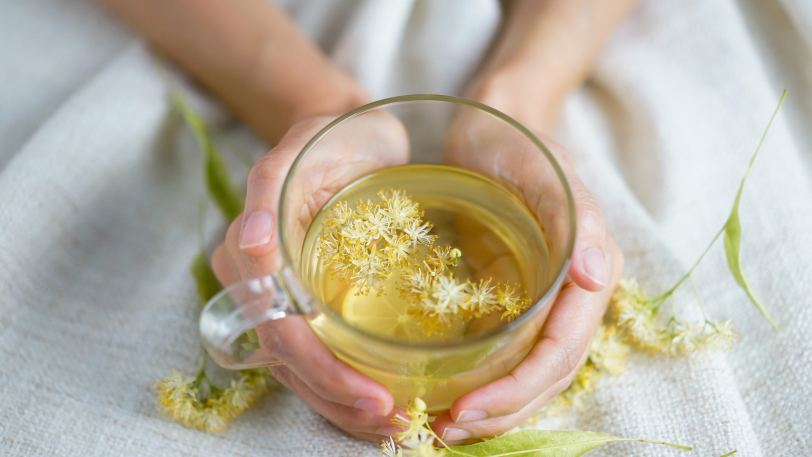 A cup of herbal tea (lime blossom/ linden tea) photographed on a cozy beige blanket with herbal flowers in the background.